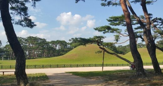 경주오릉