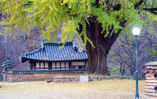 경주운곡서원