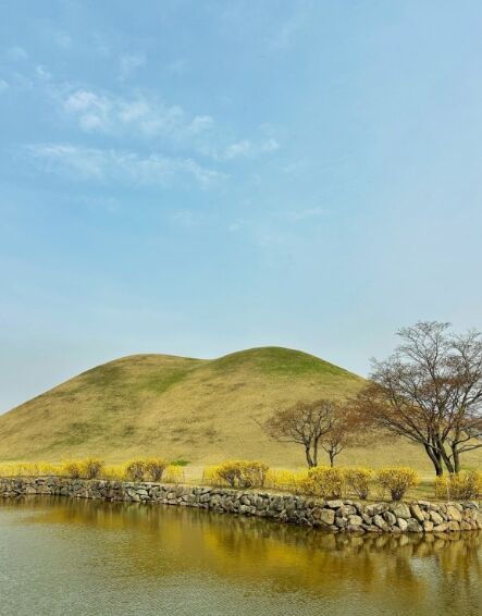 대릉원